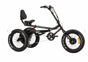 Electric Bike 3 Wheels Fat Bike Trivel 2023 14Ah Battery