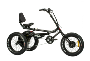 Trivel 2023 3-Wheel Electric Bike 48V/14Ah Battery